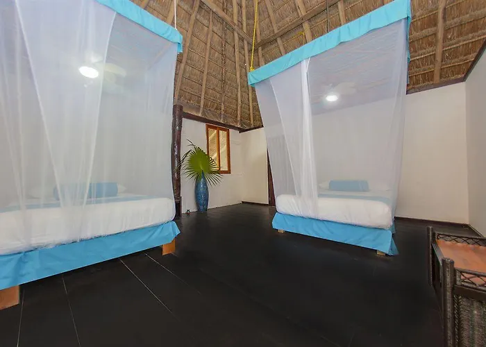 Hotel Mestizo Gallery Tulum