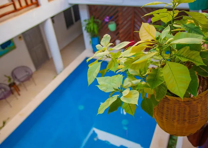 Hotel Mestizo Gallery Tulum
